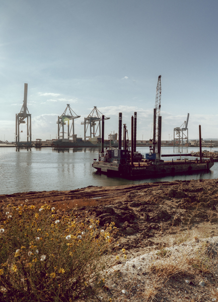 Omniterminalen II på havnen i Aarhus  