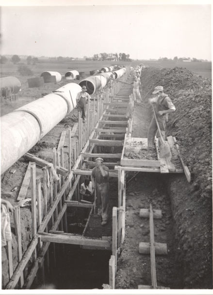 Læs vores vilde historie her