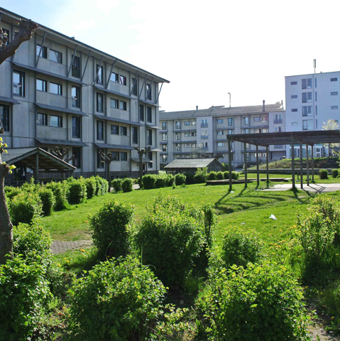 Egedalsvænge,  Kokkedal,  Renovering, Boligbyggeri, MT Højgaard Danmark