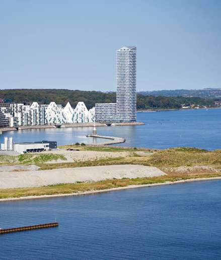 Ny ordre │ Havmågerne vender ”hjem” til Aarhus