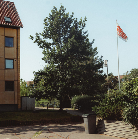 Stærevej, MT Højgaard Danmark, Renovation, Sjælland