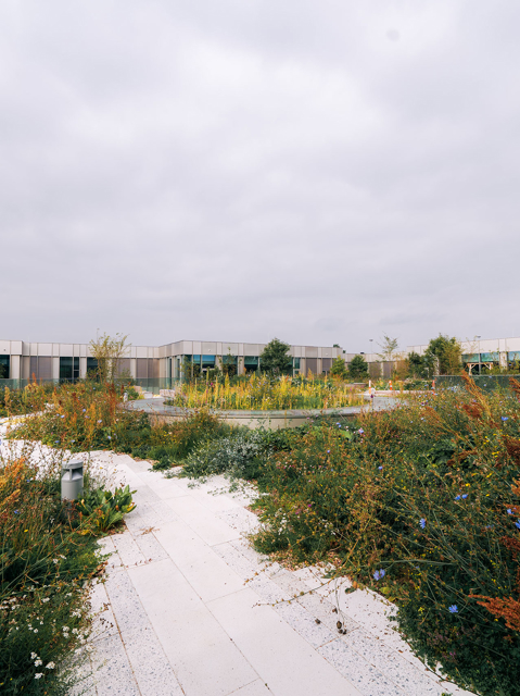 Hospitals- og sundhedsrenovering, MT Højgaard Danmark, Sjælland, Fyn, Jylland