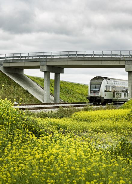 56 broer mellem Ringsted og Femern