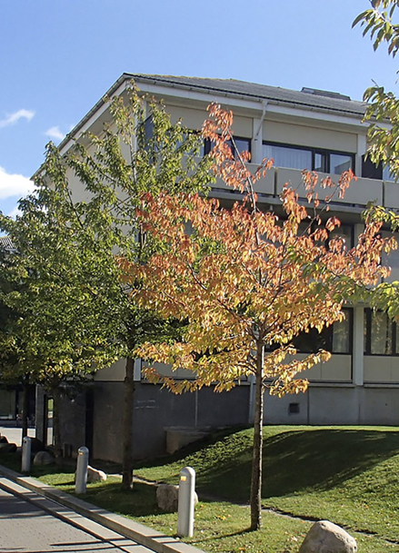 Tåstrupgård
