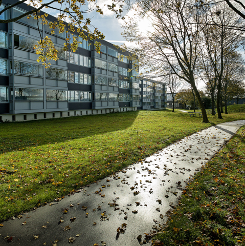 Skovgårdsparken, Brabrand, Boligbyggeri, Renovering, ESG, MT Højgaard Danmark