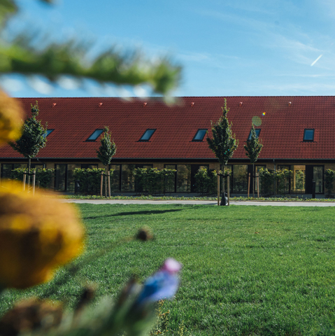 Jersie Skole, Solrød Strand, Renovering, MT Højgaard Danmark