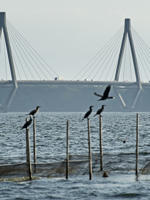 Broer og tunneler, Infrastruktur, MT Højgaard Danmark